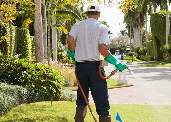 About Dunstable MA Pest Control Pros